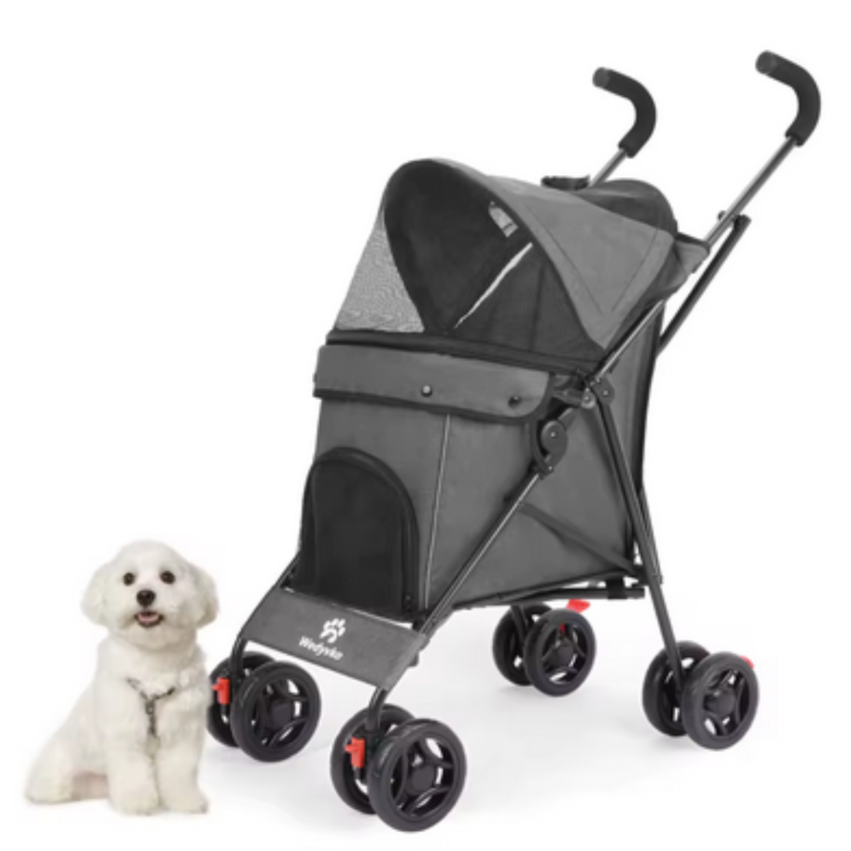 Poussette pour petits chiens