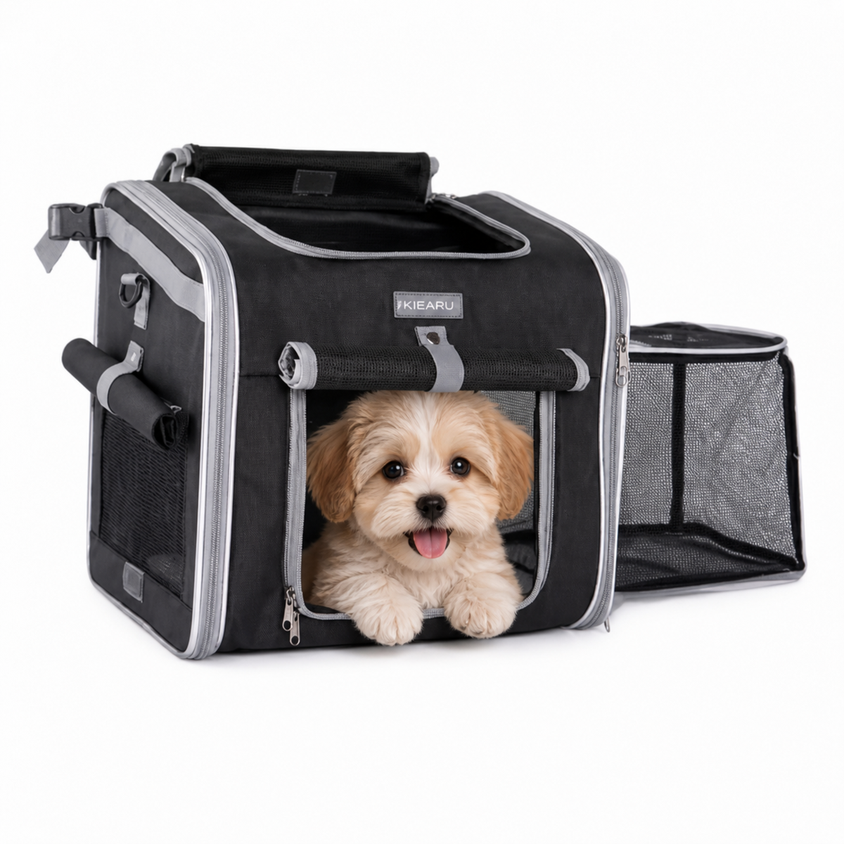 Panier vélo avant pour chien jusqu’à 5,4 kg