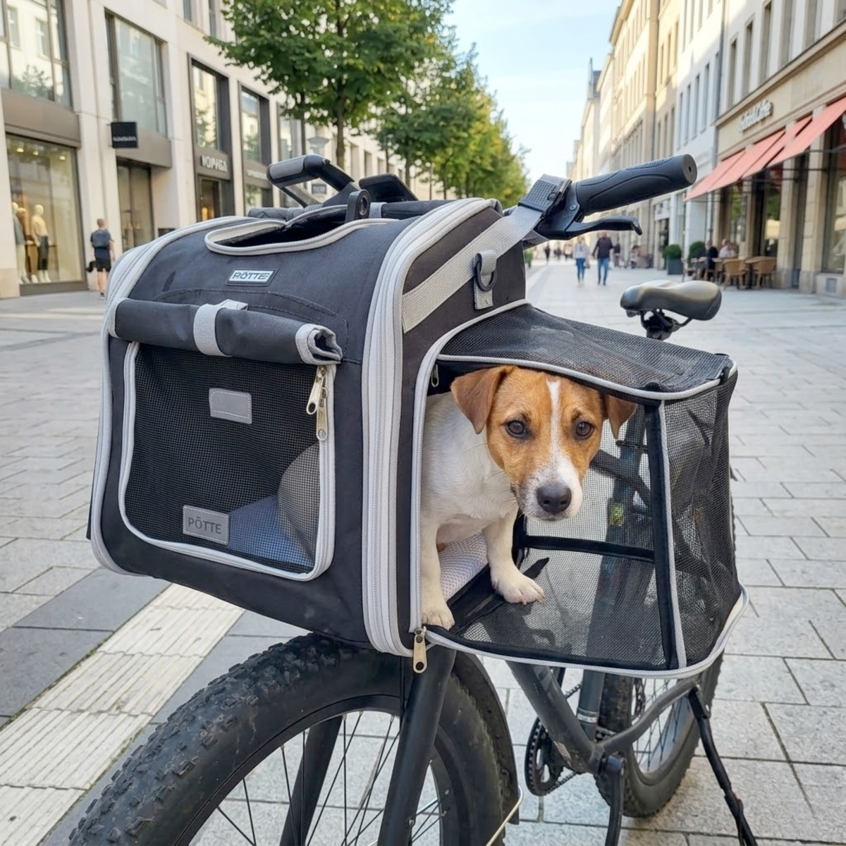 Panier vélo avant pour chien jusqu’à 5,4 kg