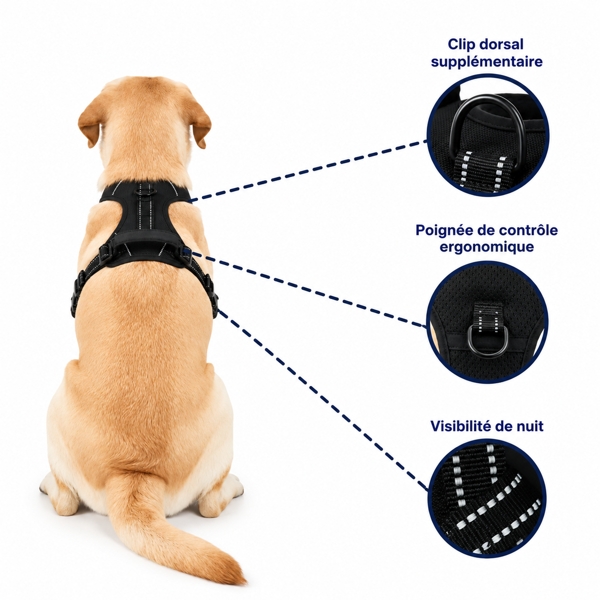 Harnais anti-traction pour chien | Dogova