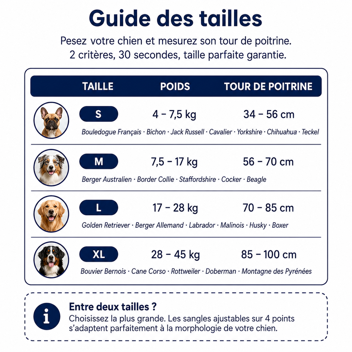 Harnais anti-traction pour chien | Dogova