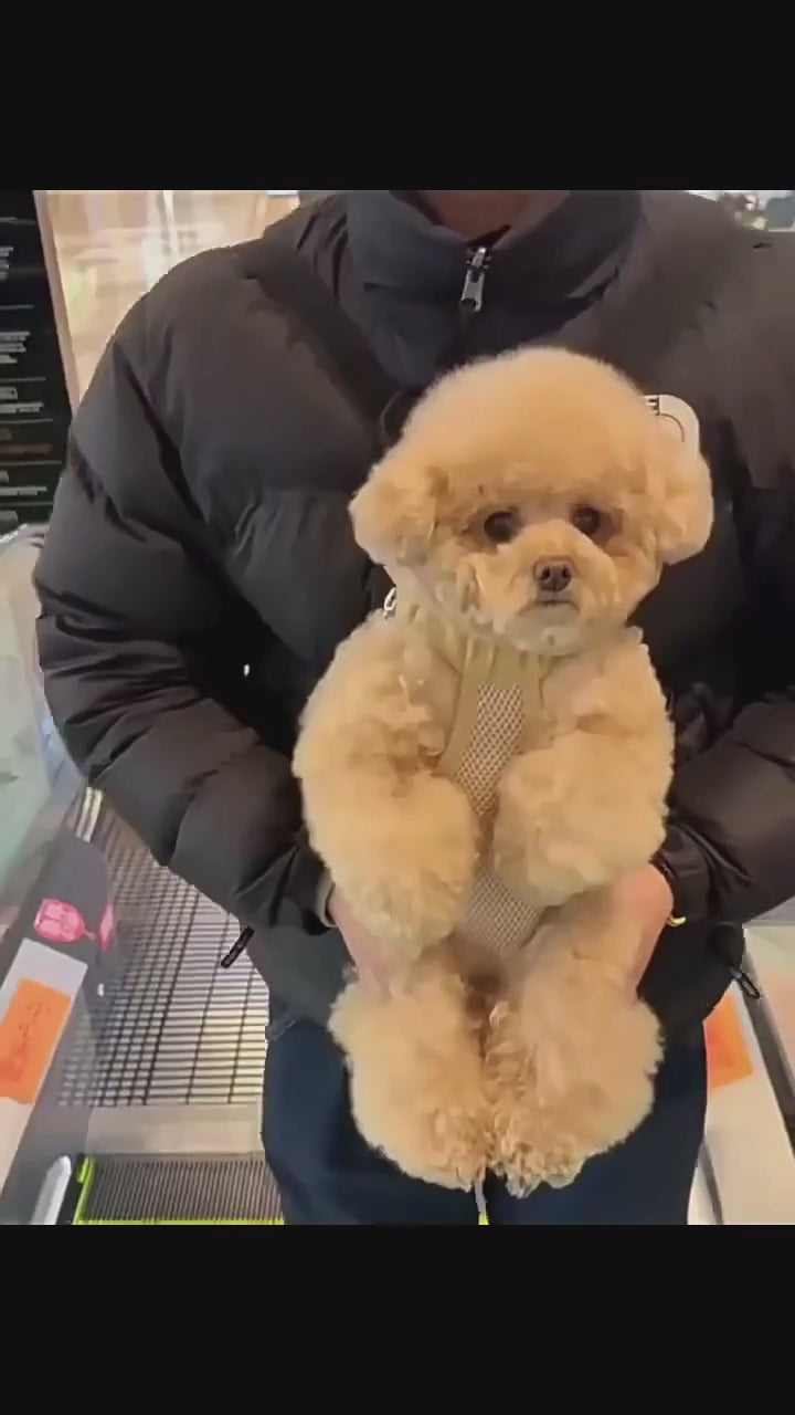 Vidéo